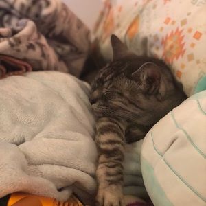 Meet your Posher, Michael